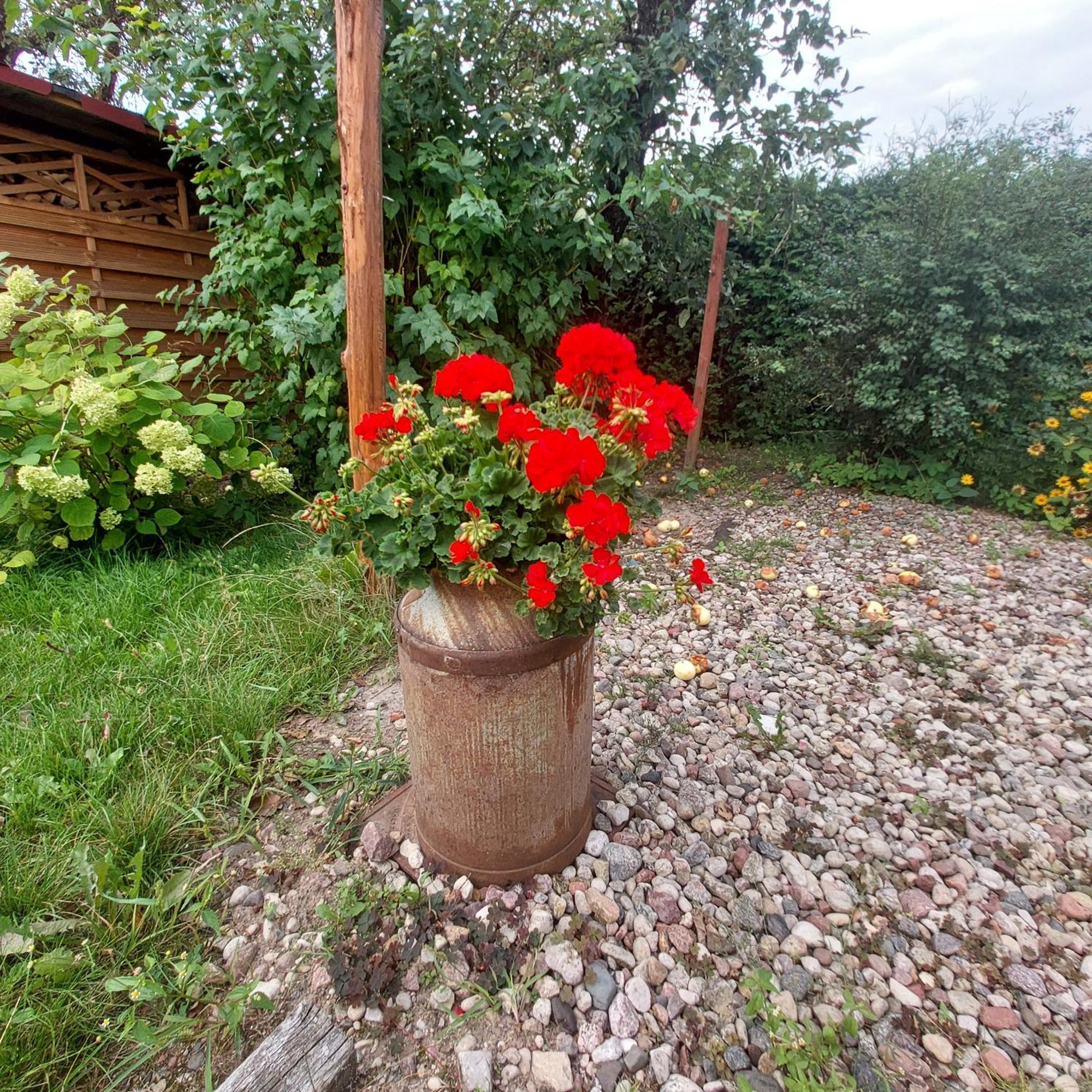 Mazury Home Lötzen Exterior foto